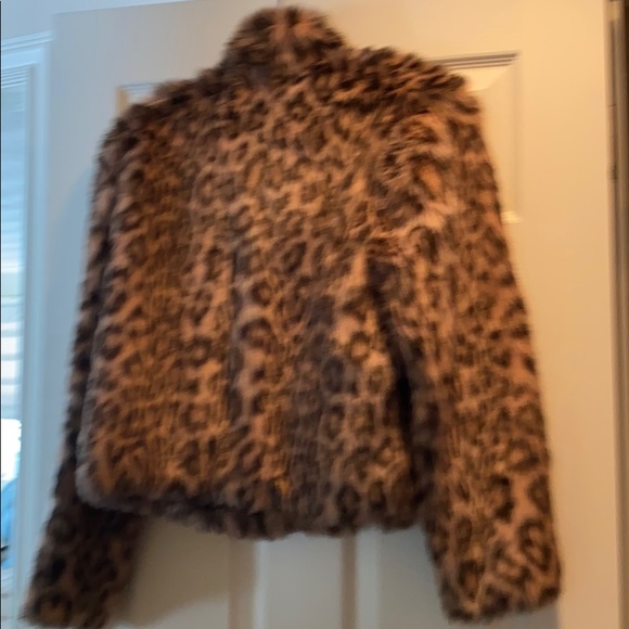 Jacket - Picture 2 of 3